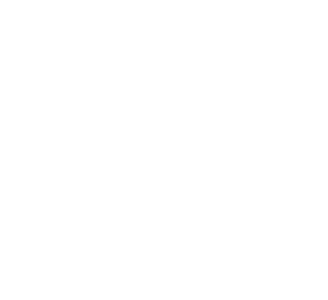 Salesforce Mobility Solution